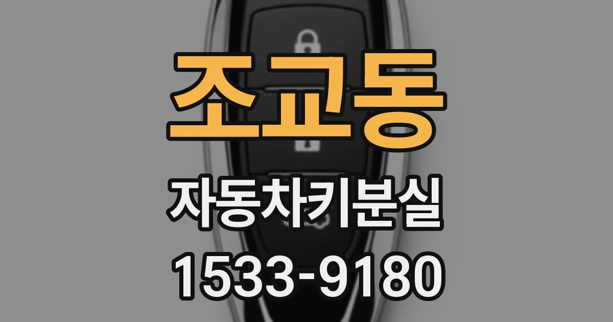 조교동 자동차키분실