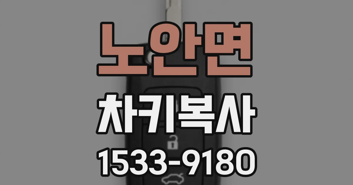 노안면 차키복사