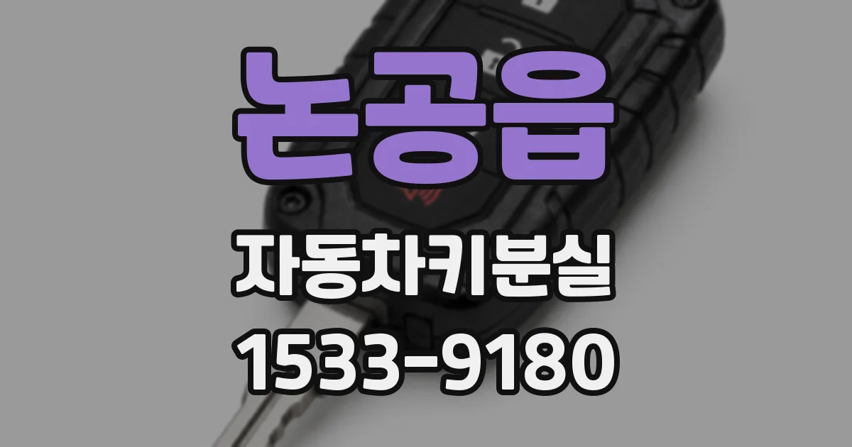 논공읍 자동차키분실
