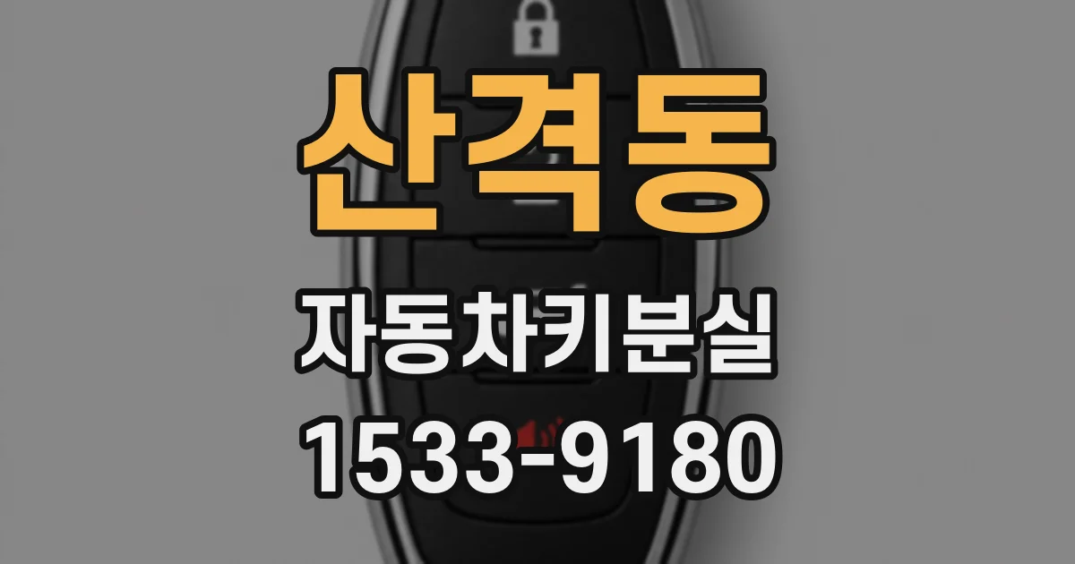 산격동 자동차키분실