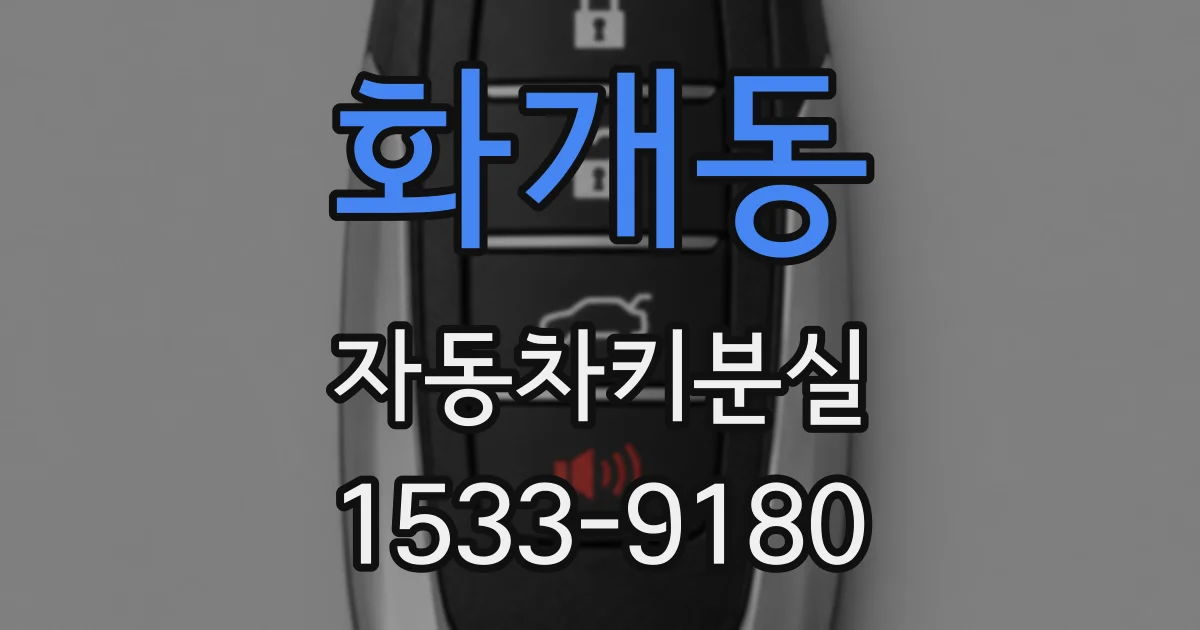 화개동 자동차키분실