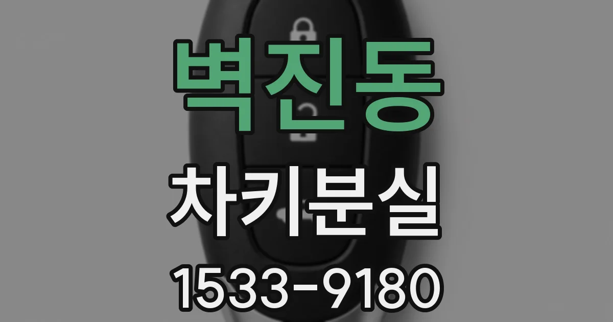 벽진동 차키분실