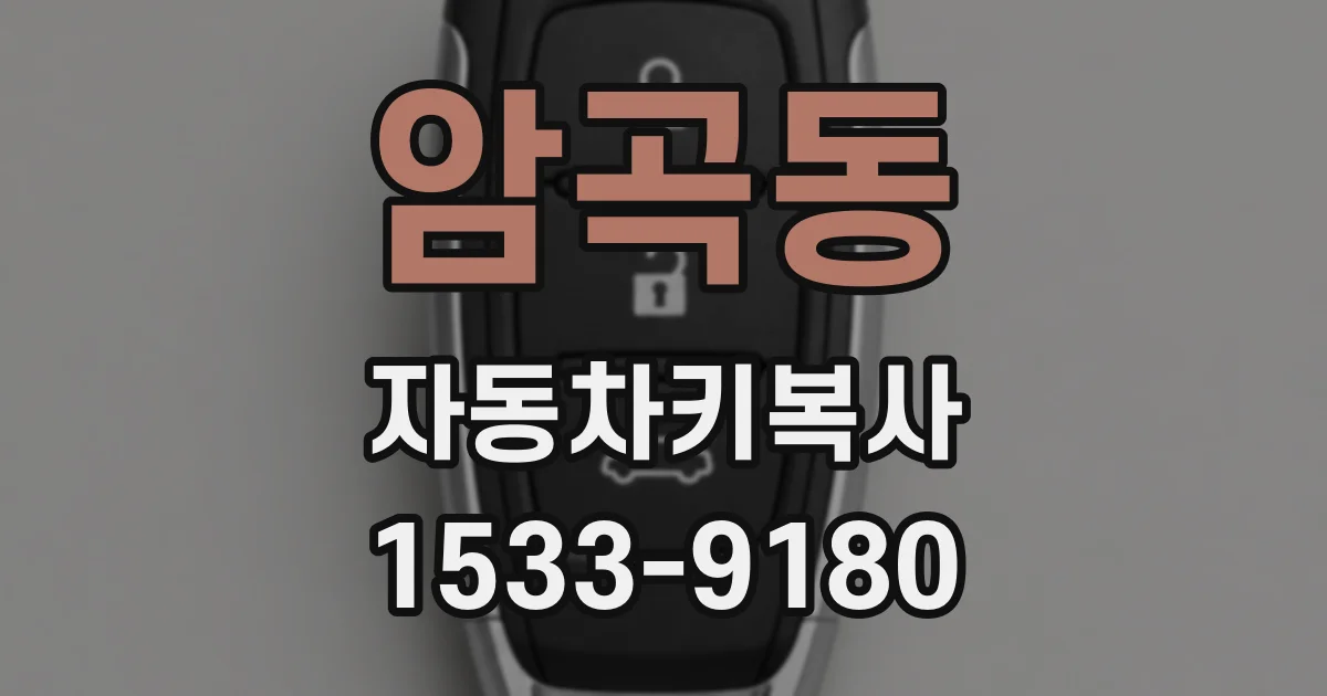 암곡동 자동차키복사