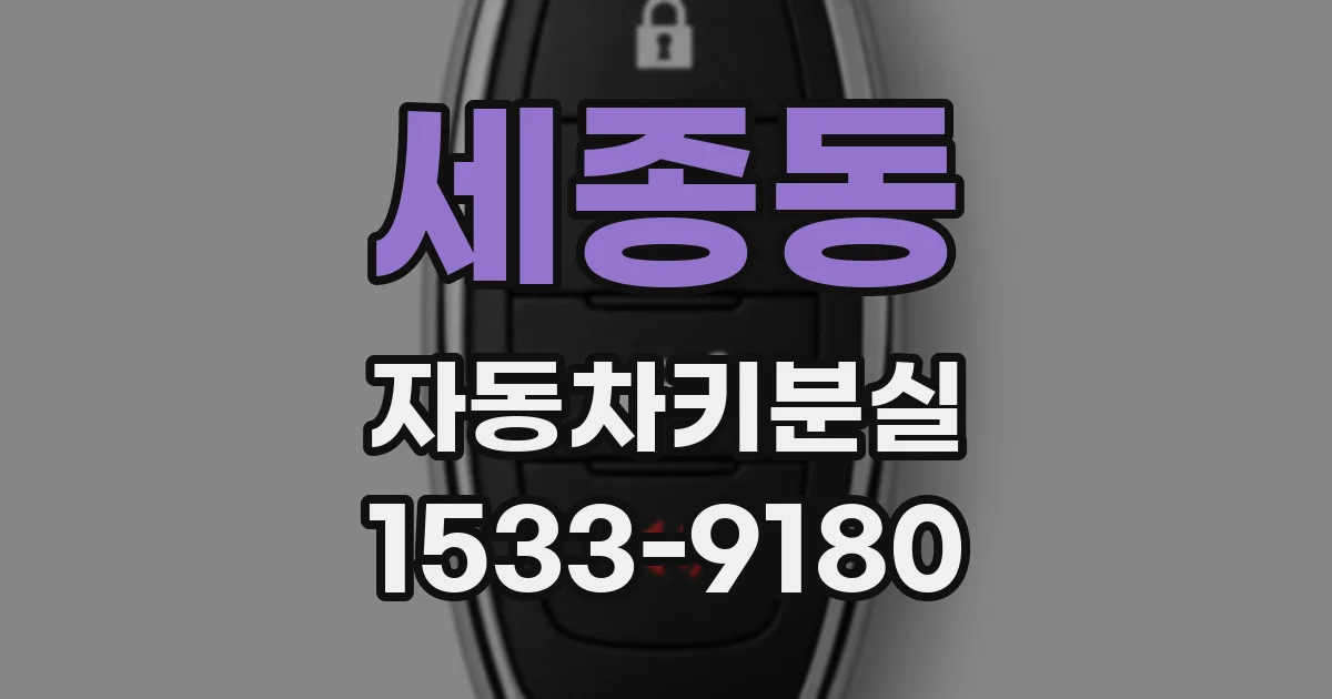 세종동 자동차키분실