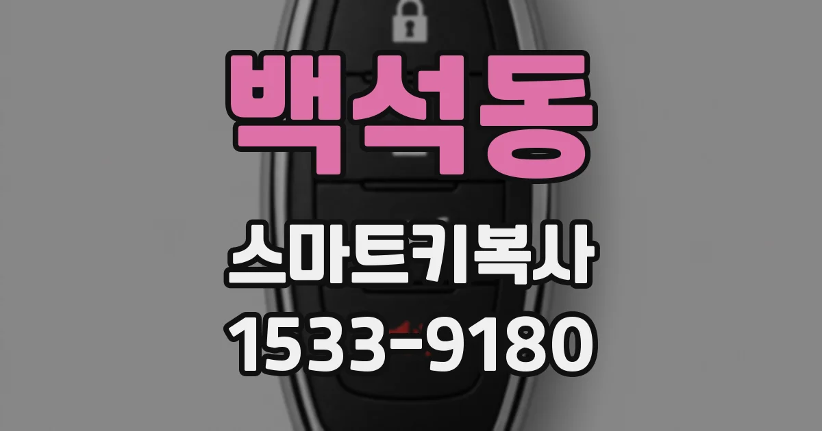 백석동 스마트키복사