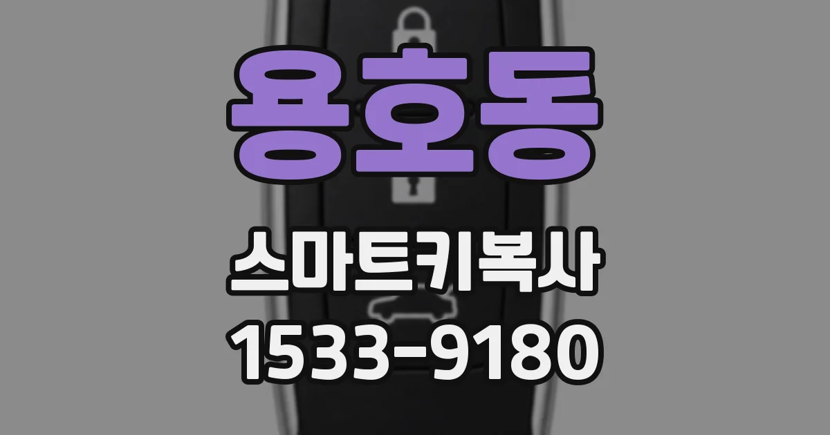 용호동 스마트키복사