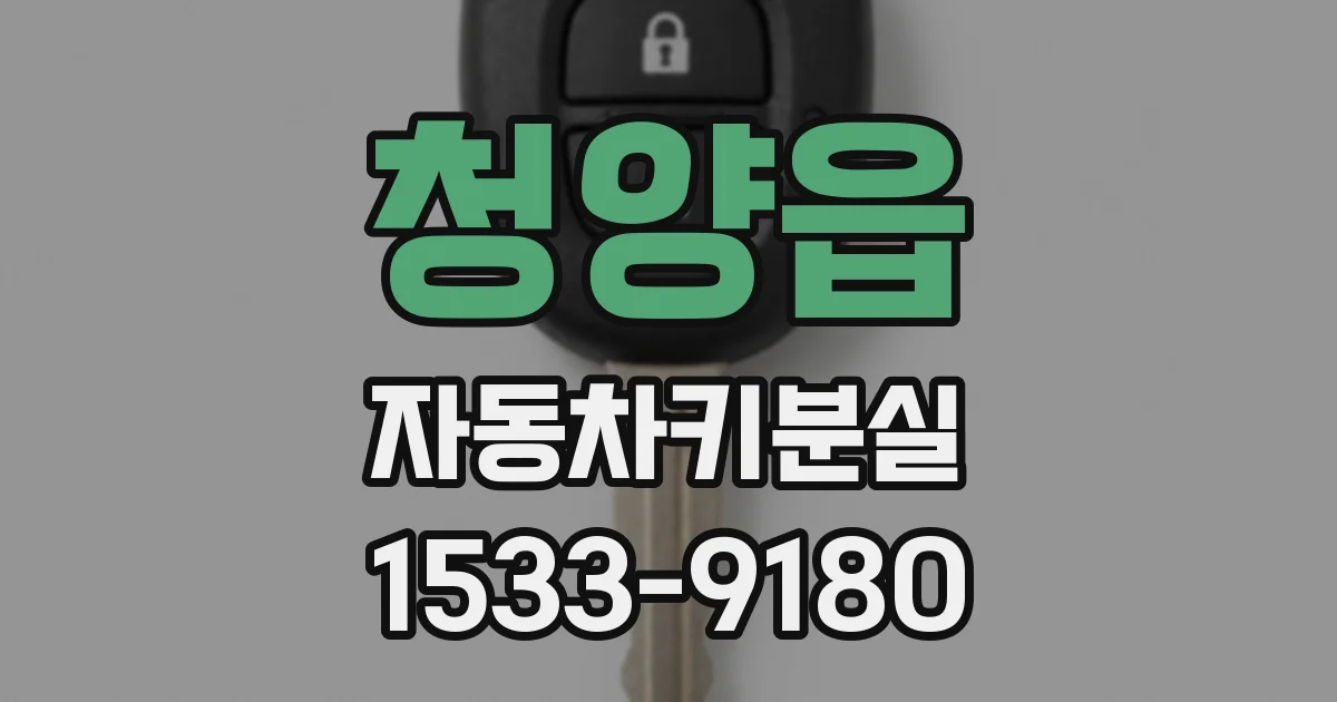 청양읍 자동차키분실