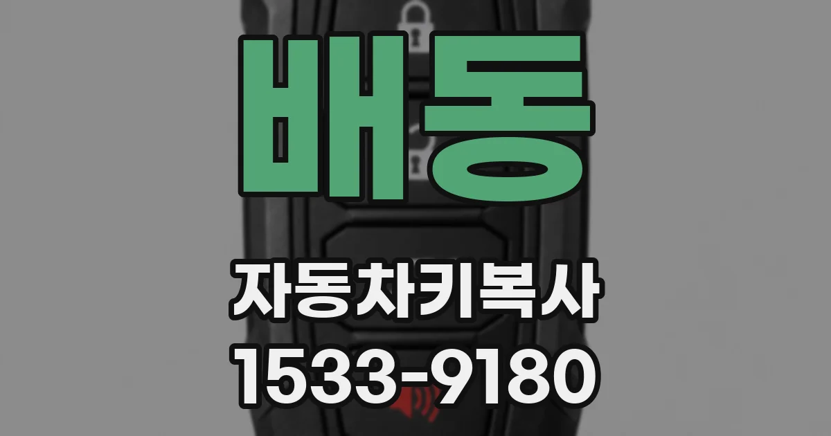 배동 자동차키복사
