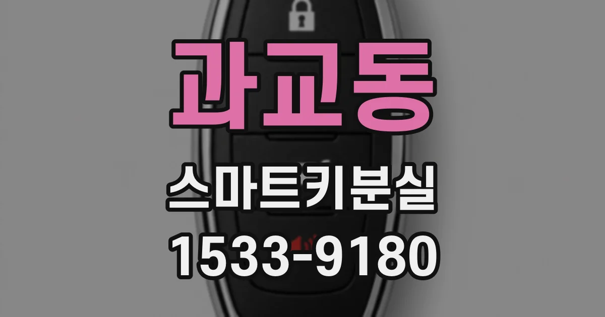 과교동 스마트키분실
