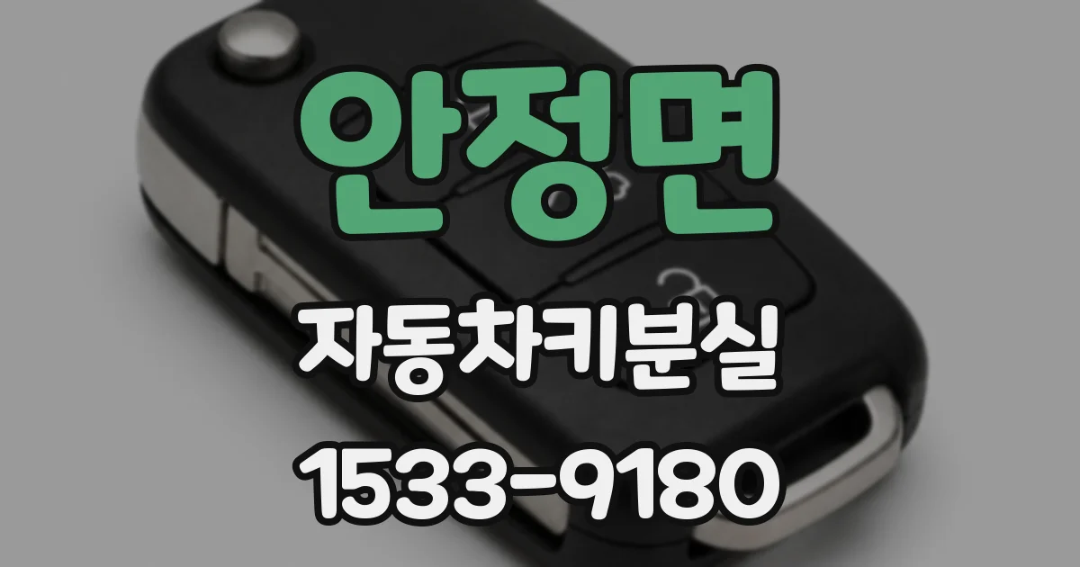 안정면 자동차키분실