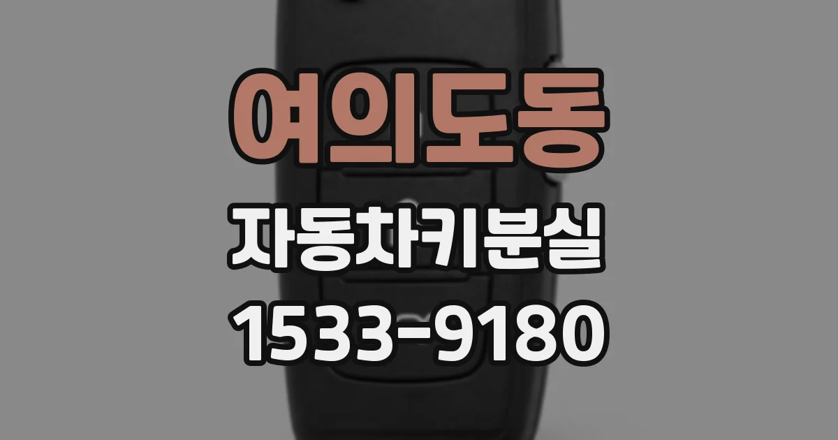 여의도동 자동차키분실