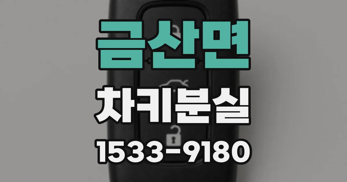 금산면 차키분실