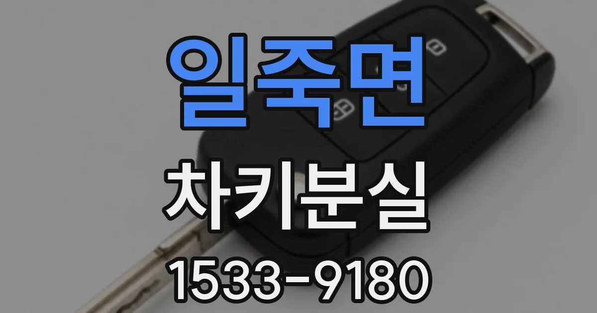 일죽면 차키분실