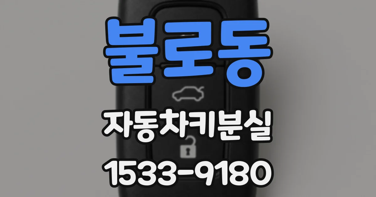 불로동 자동차키분실