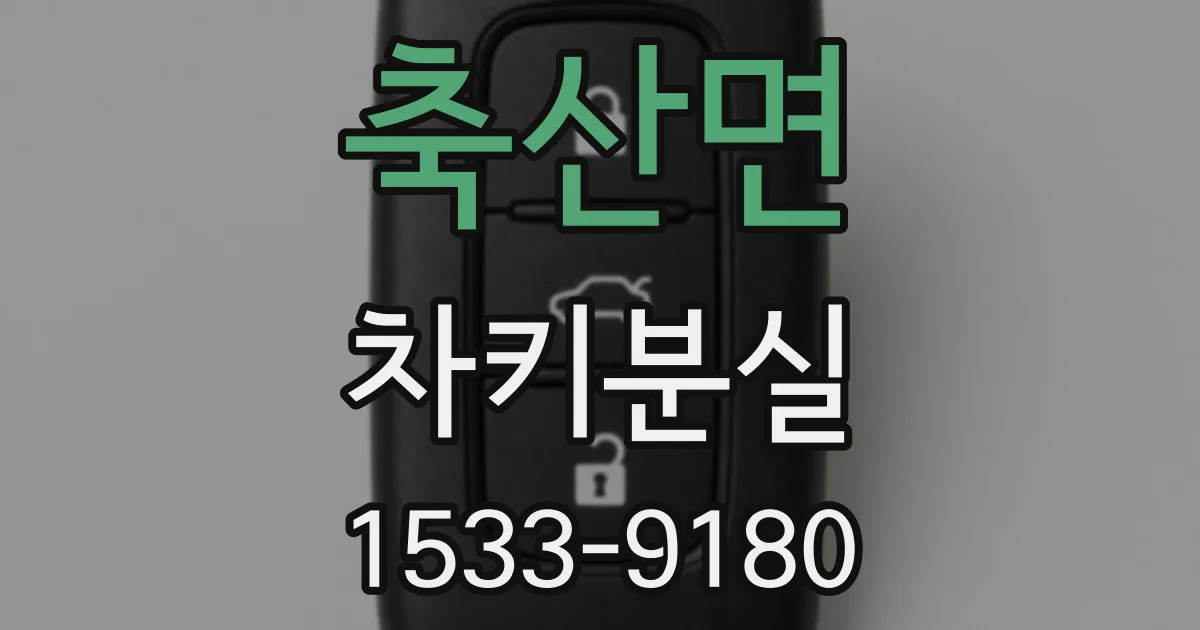 축산면 차키분실