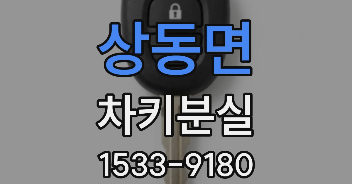 상동면 차키분실