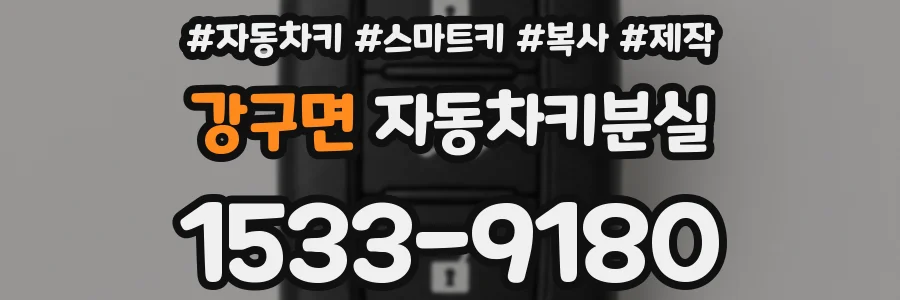 강구면 자동차키분실