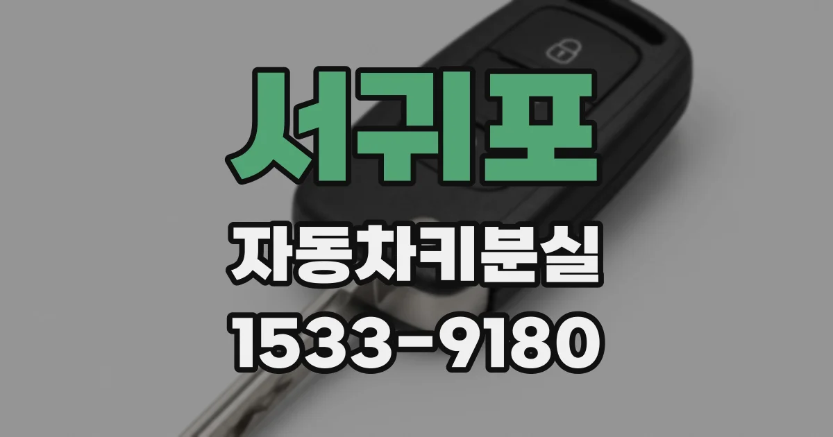 서귀포 자동차키분실