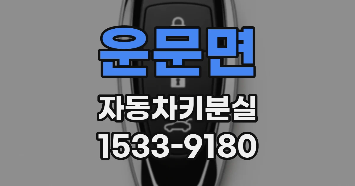 운문면 자동차키분실