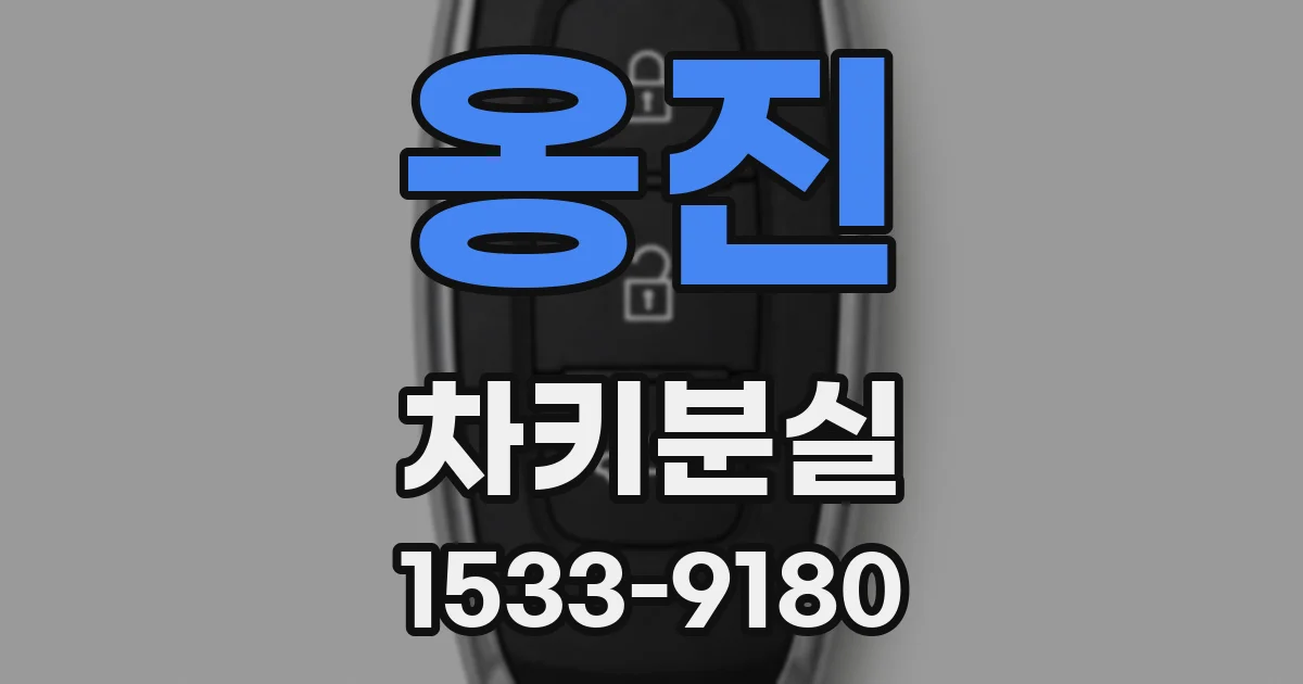 옹진 차키분실