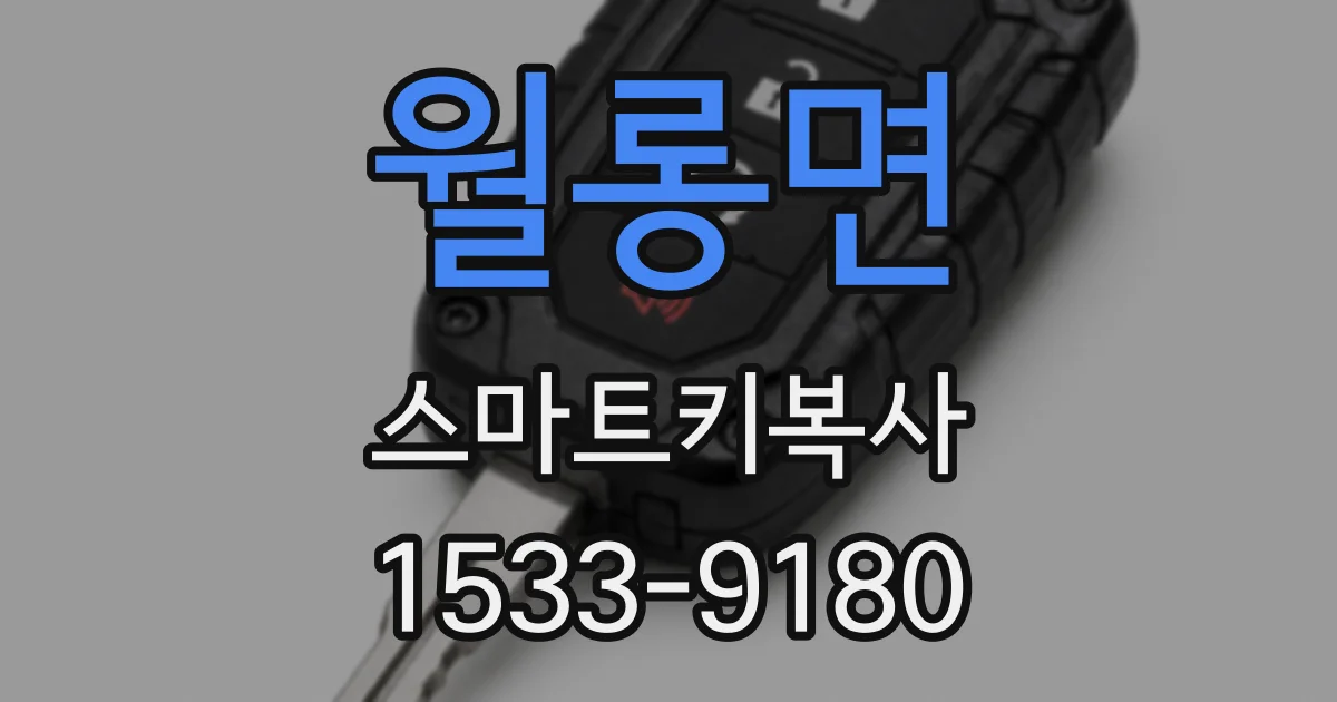 월롱면 스마트키복사