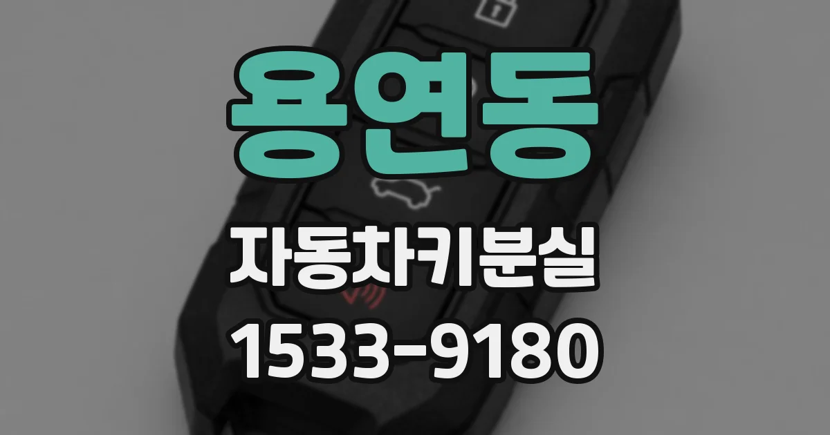용연동 자동차키분실
