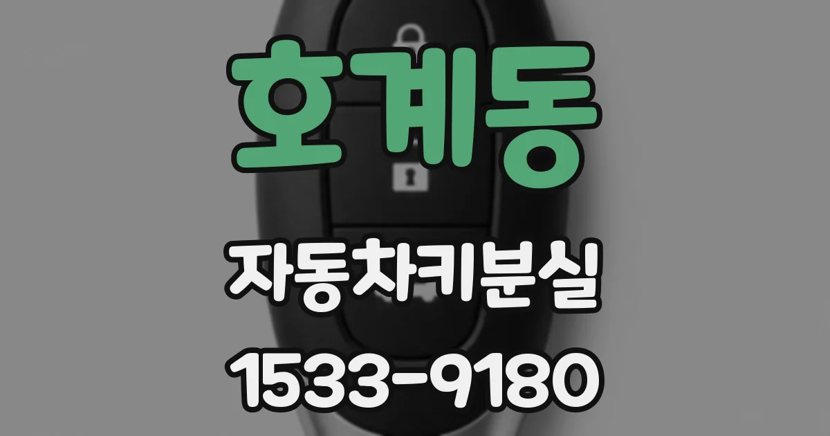 호계동 자동차키분실