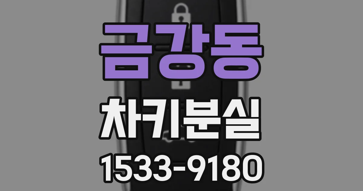 금강동 차키분실