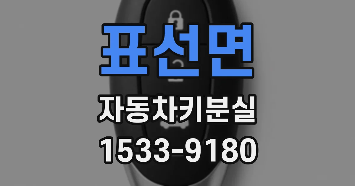 표선면 자동차키분실
