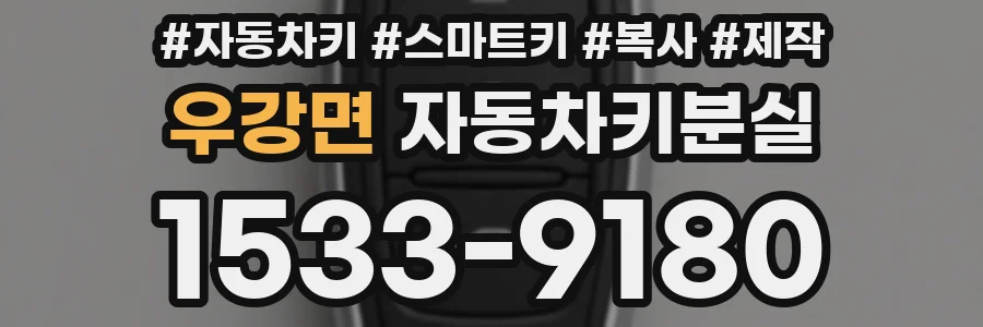 우강면 자동차키분실