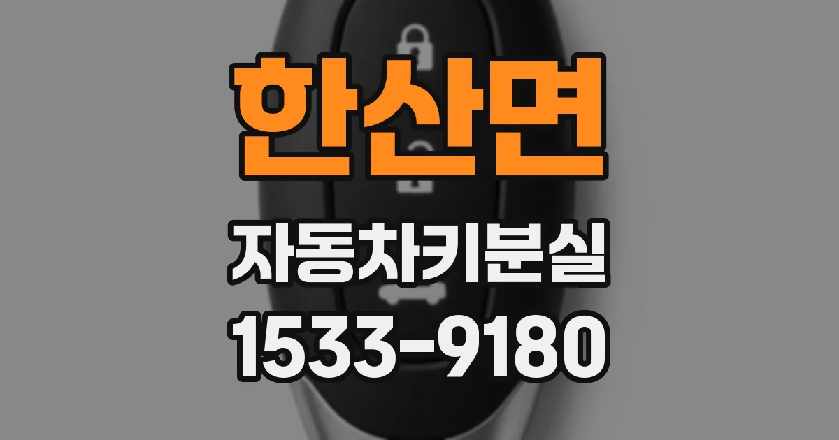 한산면 자동차키분실