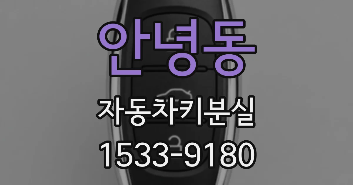 안녕동 자동차키분실