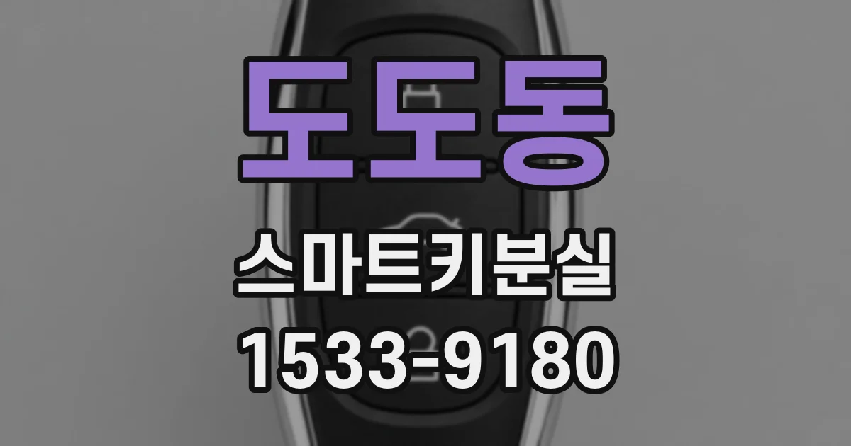 도도동 스마트키분실