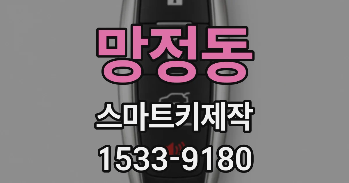 망정동 스마트키제작
