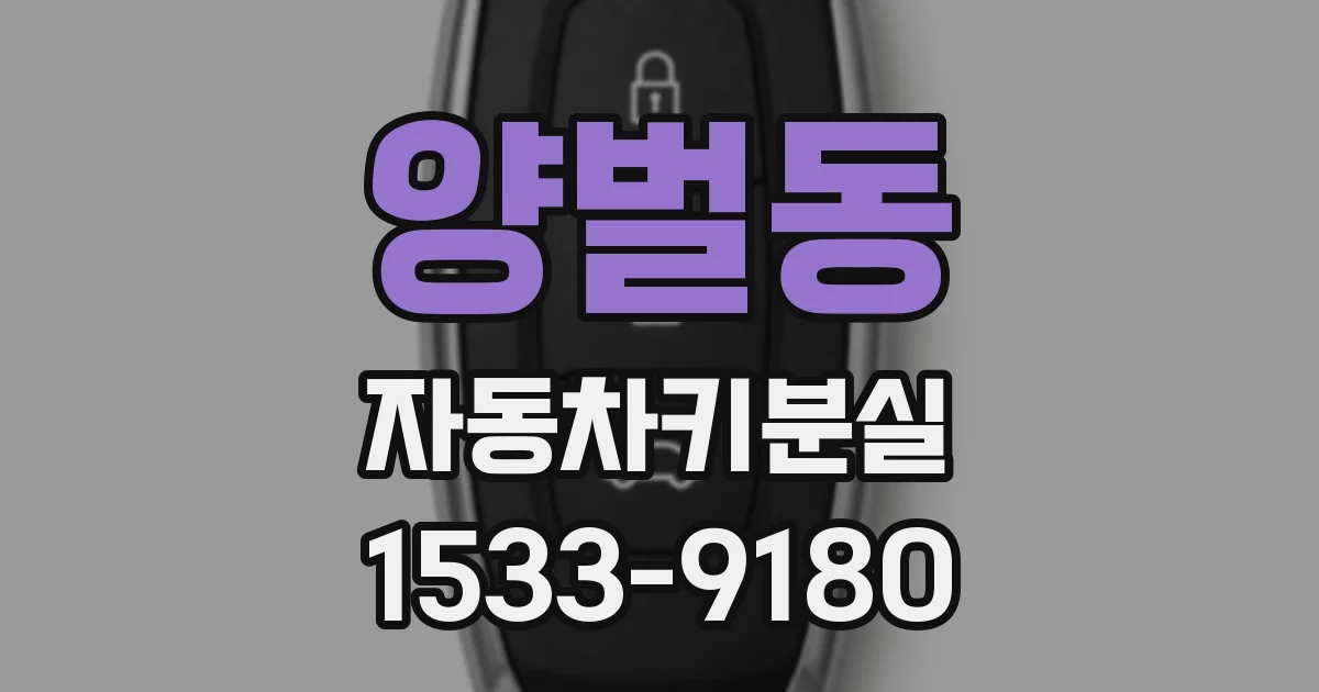 양벌동 자동차키분실