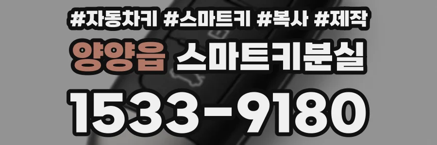양양읍 스마트키분실