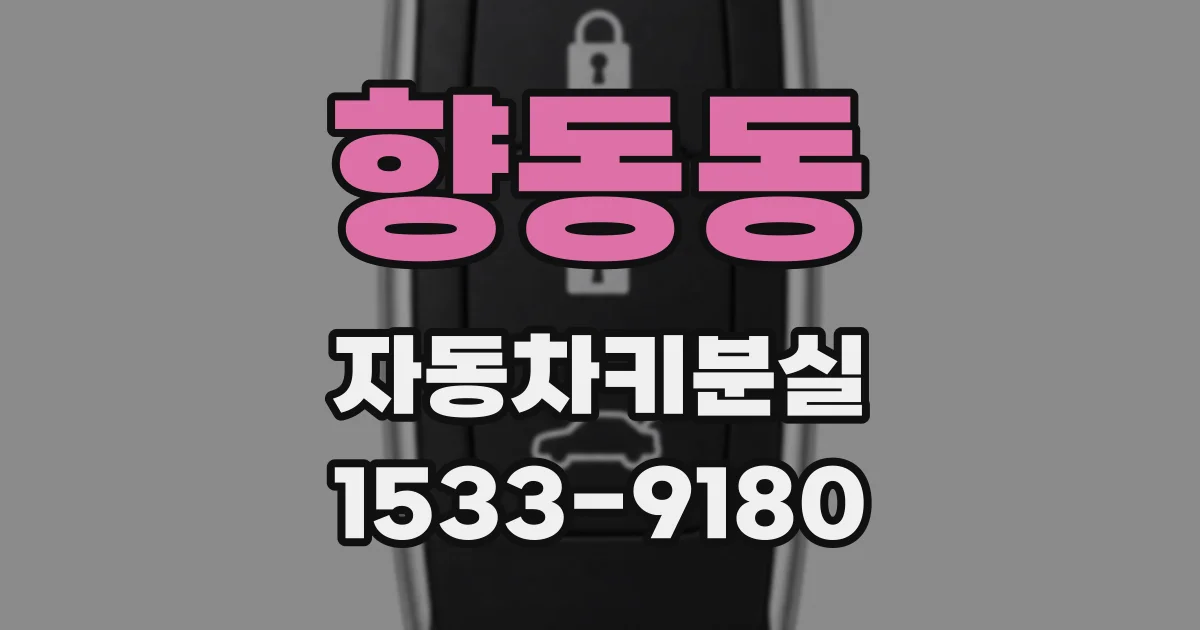 향동동 자동차키분실
