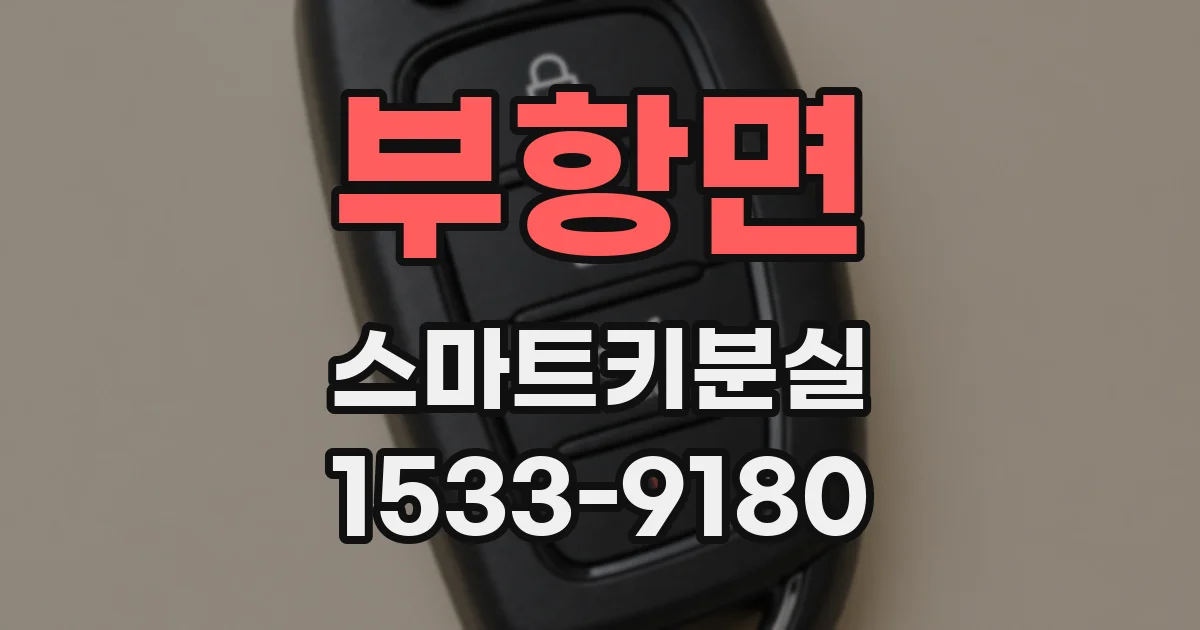 부항면 스마트키분실