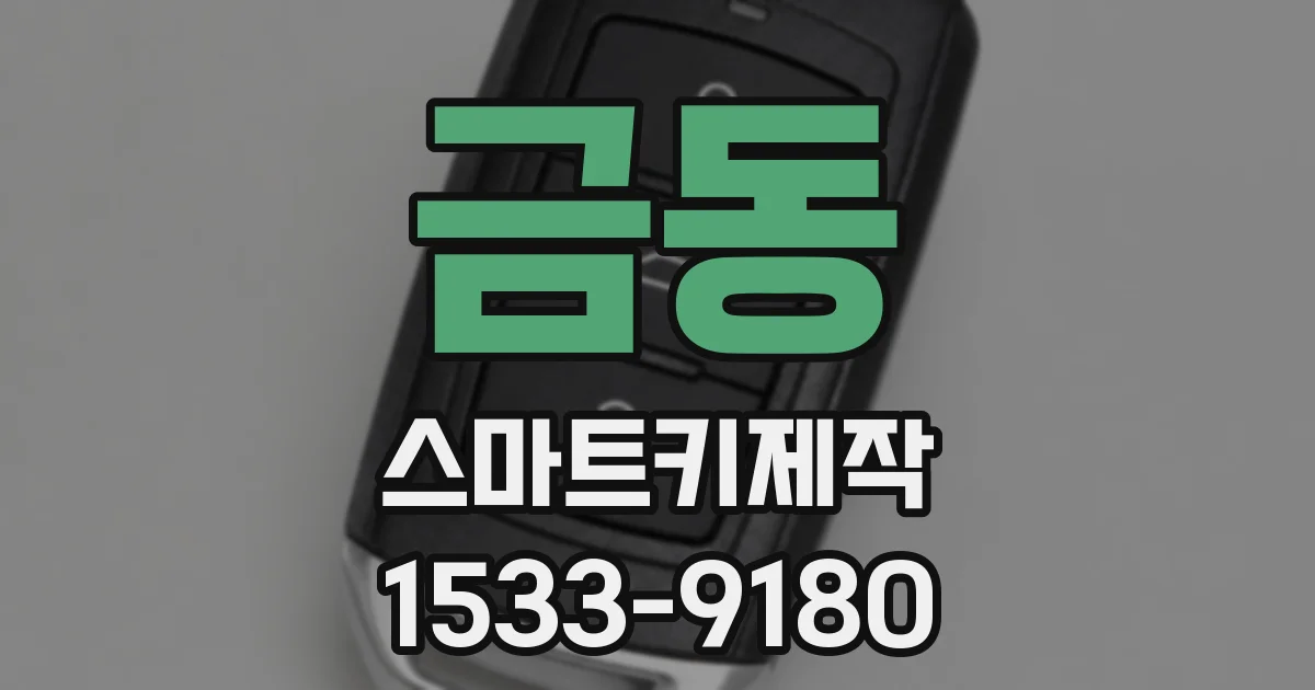 금동 스마트키제작
