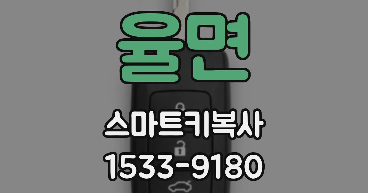 율면 스마트키복사