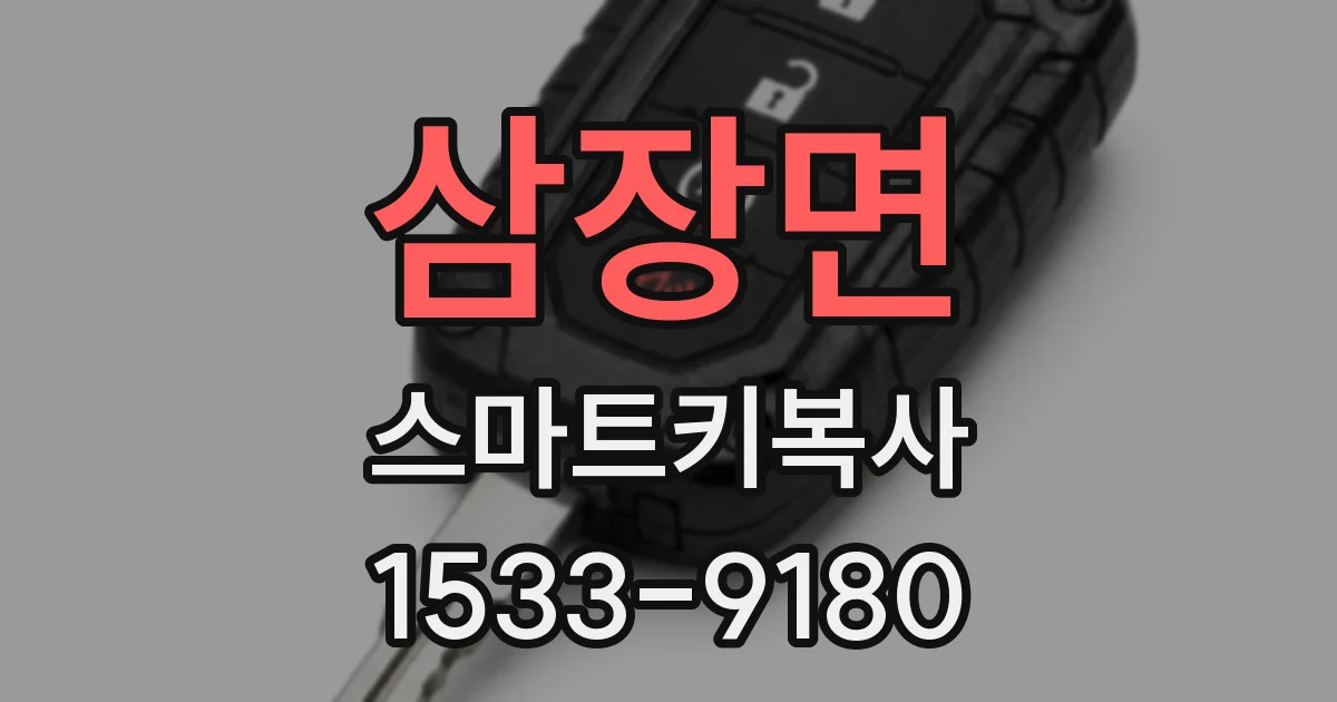 삼장면 스마트키복사