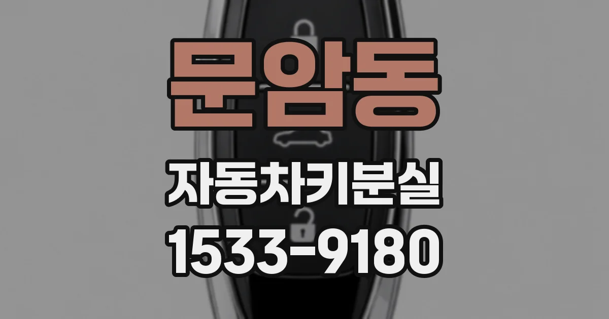 문암동 자동차키분실