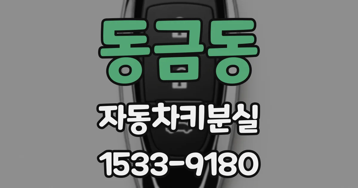 동금동 자동차키분실