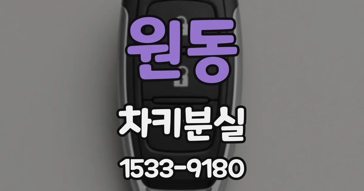 원동 차키분실