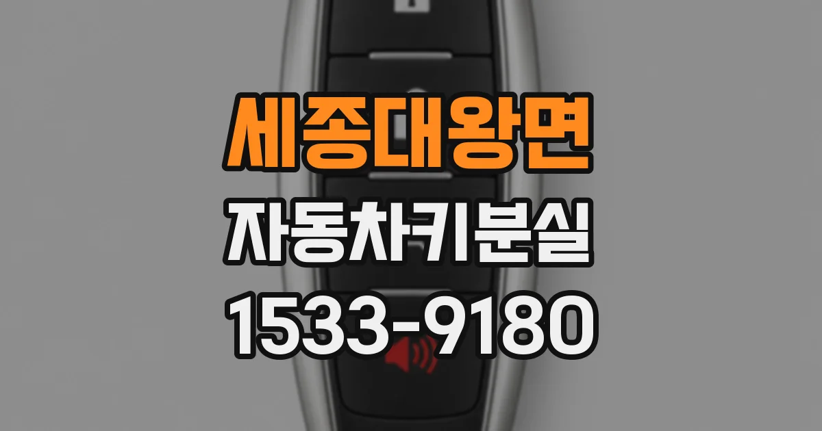 세종대왕면 자동차키분실