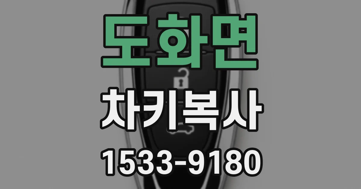 도화면 차키복사