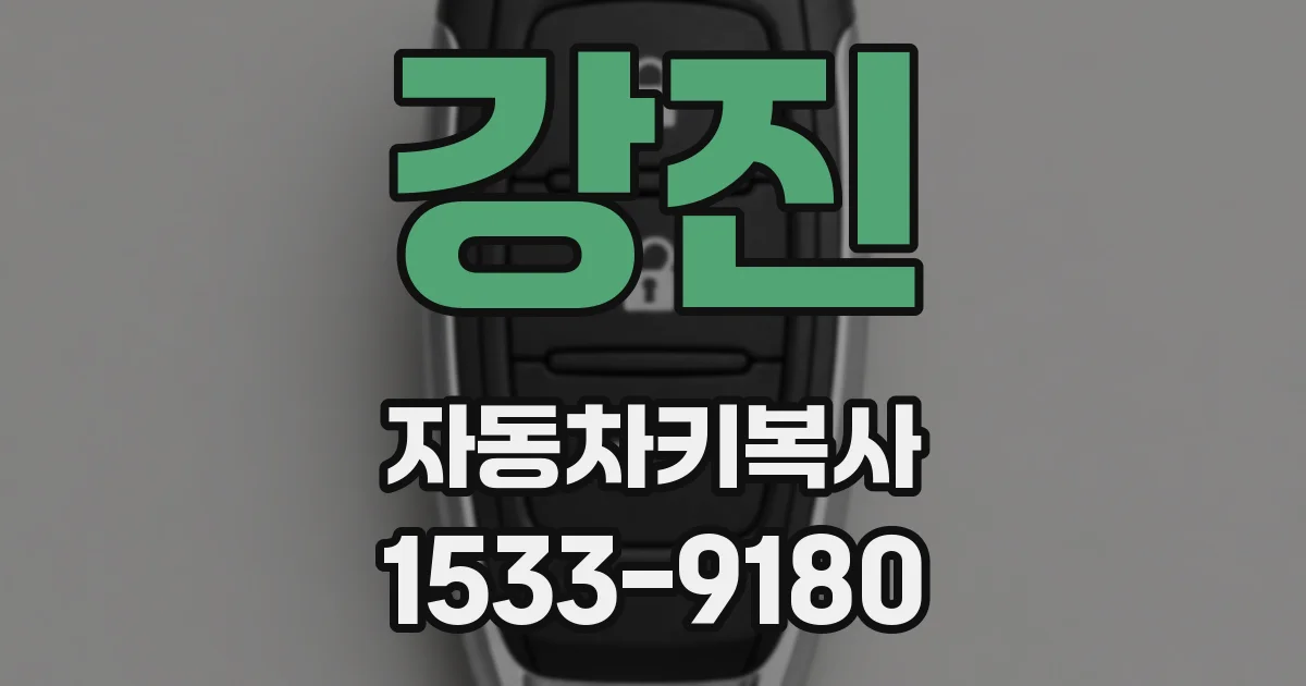 강진 자동차키복사