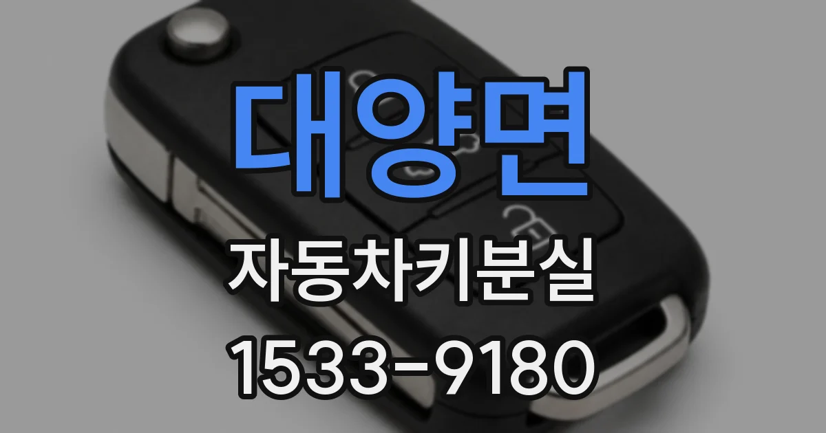 대양면 자동차키분실
