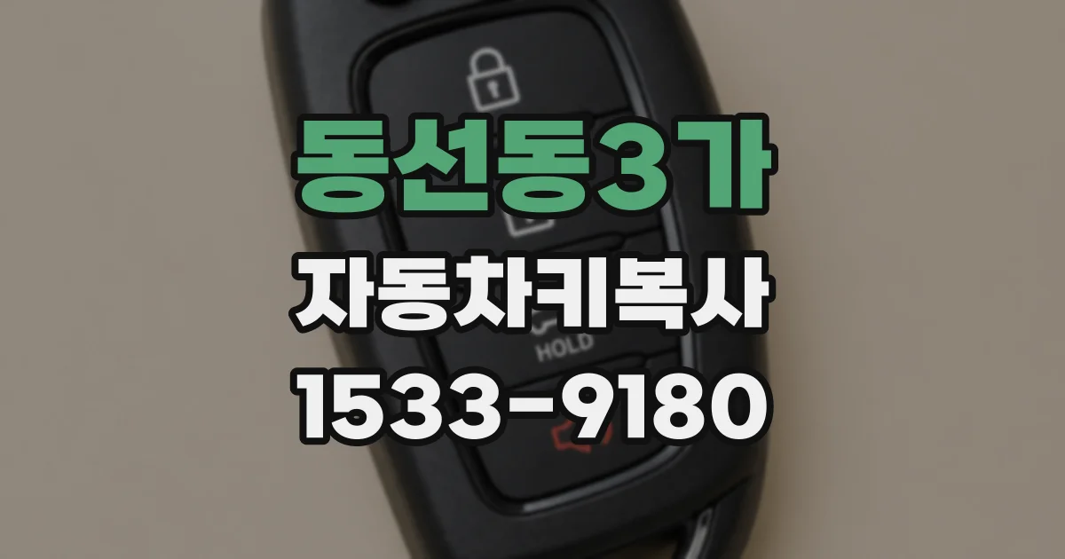 동선동3가 자동차키복사