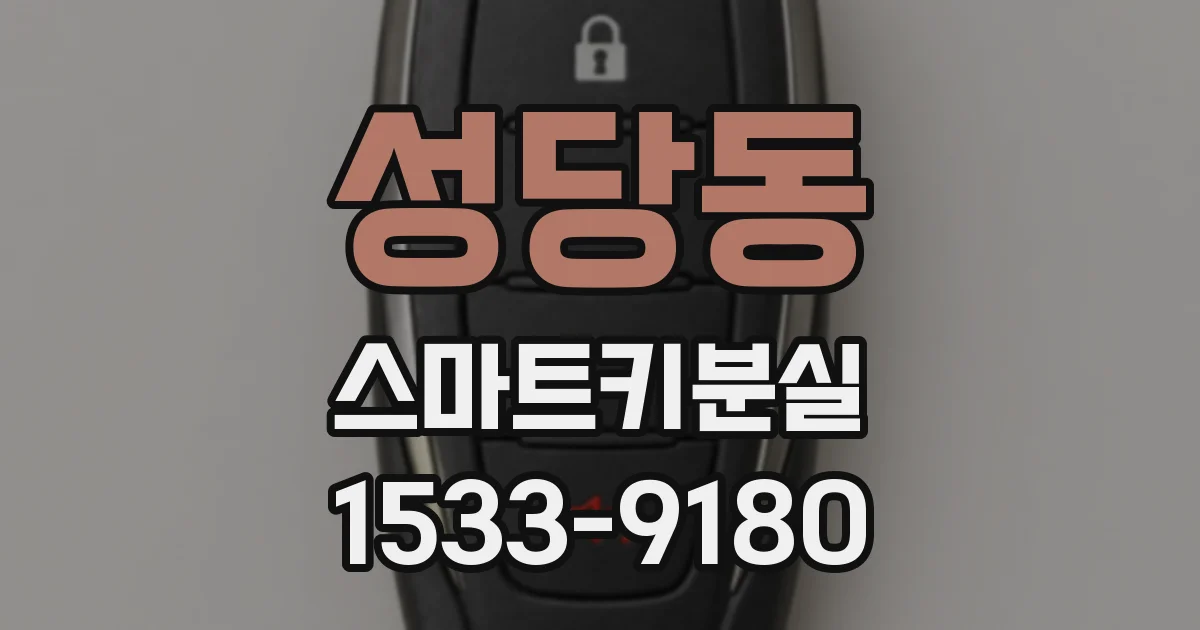 성당동 스마트키분실
